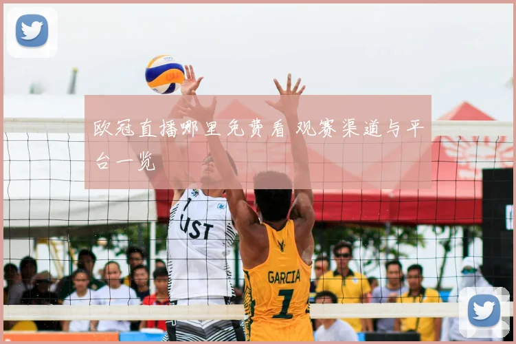 欧冠直播哪里免费看 观赛渠道与平台一览