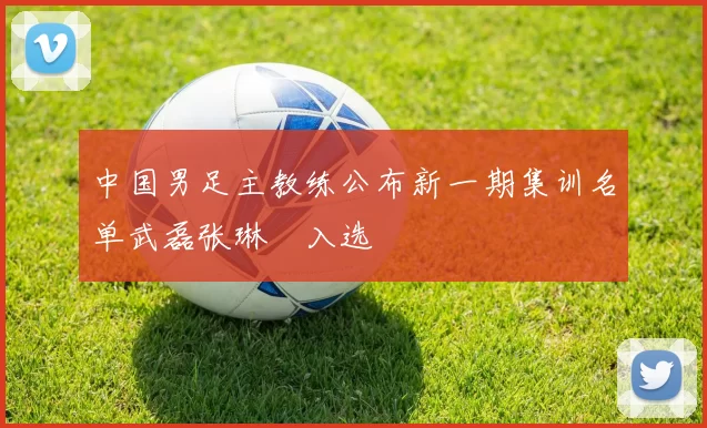 中国男足主教练公布新一期集训名单武磊张琳芃入选