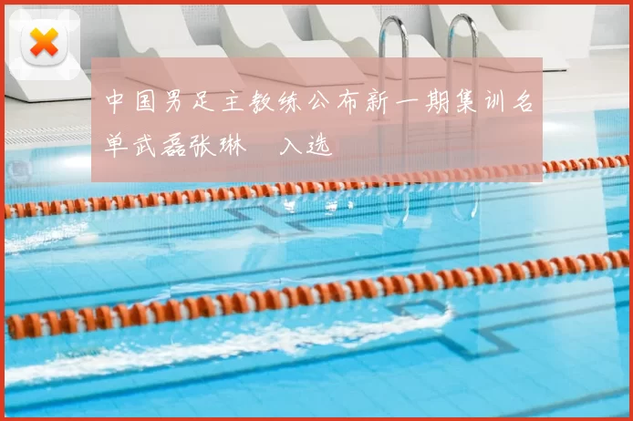 中国男足主教练公布新一期集训名单武磊张琳芃入选